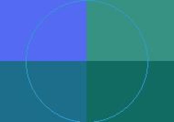 Accumsan interdico loquor molior saepius.